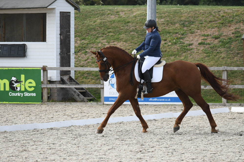 Claire Dressage Training Crofton Advanced Medium Dressage Test