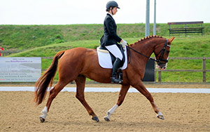 Fen Competing at Crofton