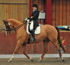 Advanced Dressage