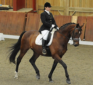 Advanced Dressage