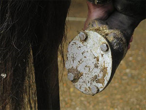 Keratoma treatment 3