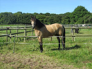 Keratoma treatment 5