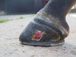 Keratoma treatment 6