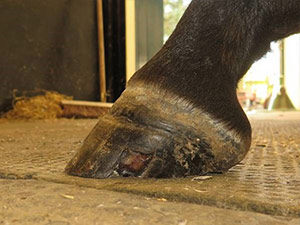 Keratoma treatment 9