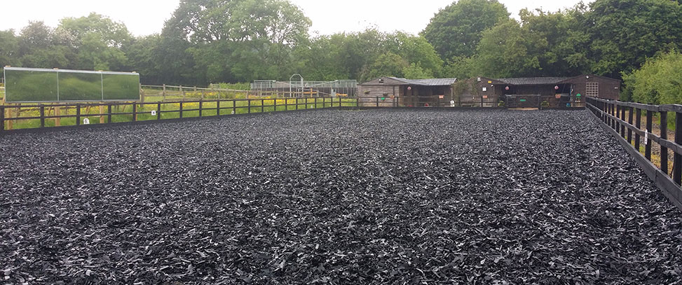 Dressage School / Arena