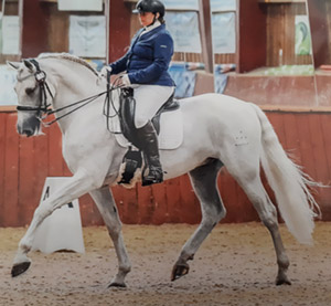 Advanced Dressage